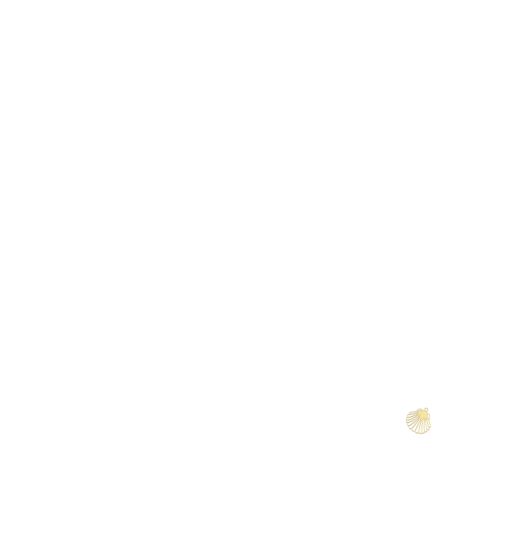 coquillage