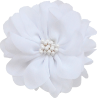 Fleur pistil blanc