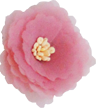 fleur blush