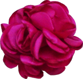 fleur fuschia