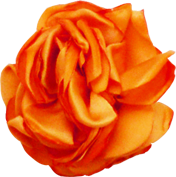 fleur orange