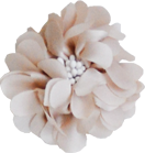 fleur pistils beige