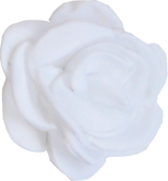 fleurs blanche