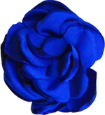 fleur bleu roi