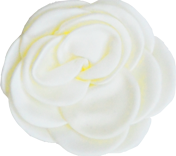  fleur crème