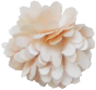 fleur pompon nude