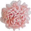 pompon rose poudré