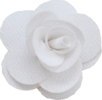 rose blanche S