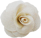 Fleur rose champagne