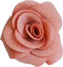 rose vieux rose S 