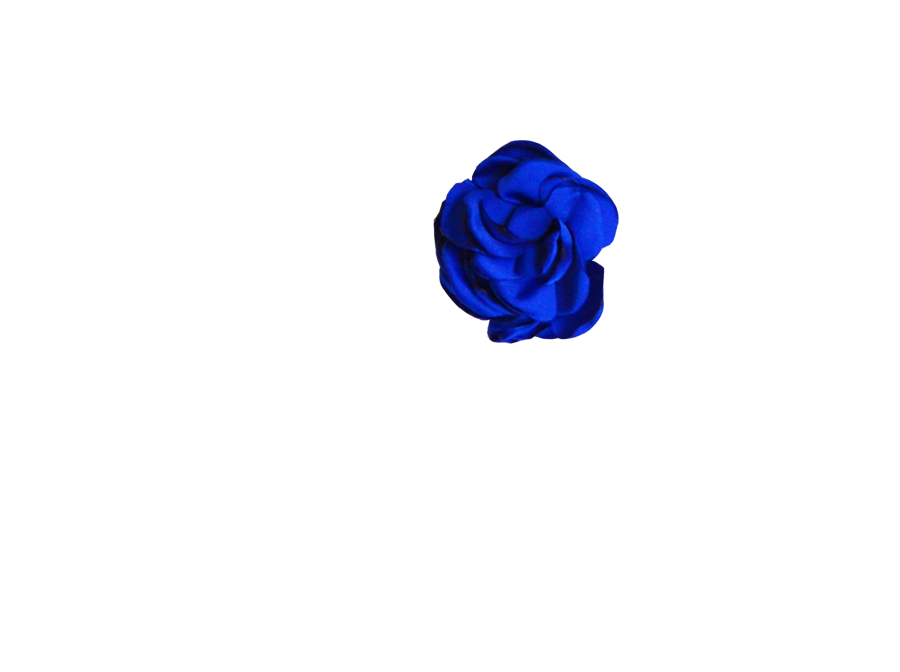 Fleur bleu roi