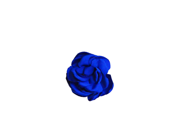fleur bleu roi