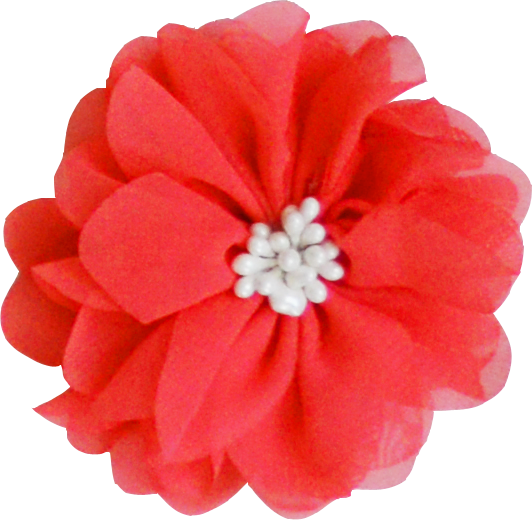 Fleur pistil corail