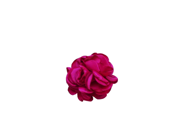 fleur fuschia