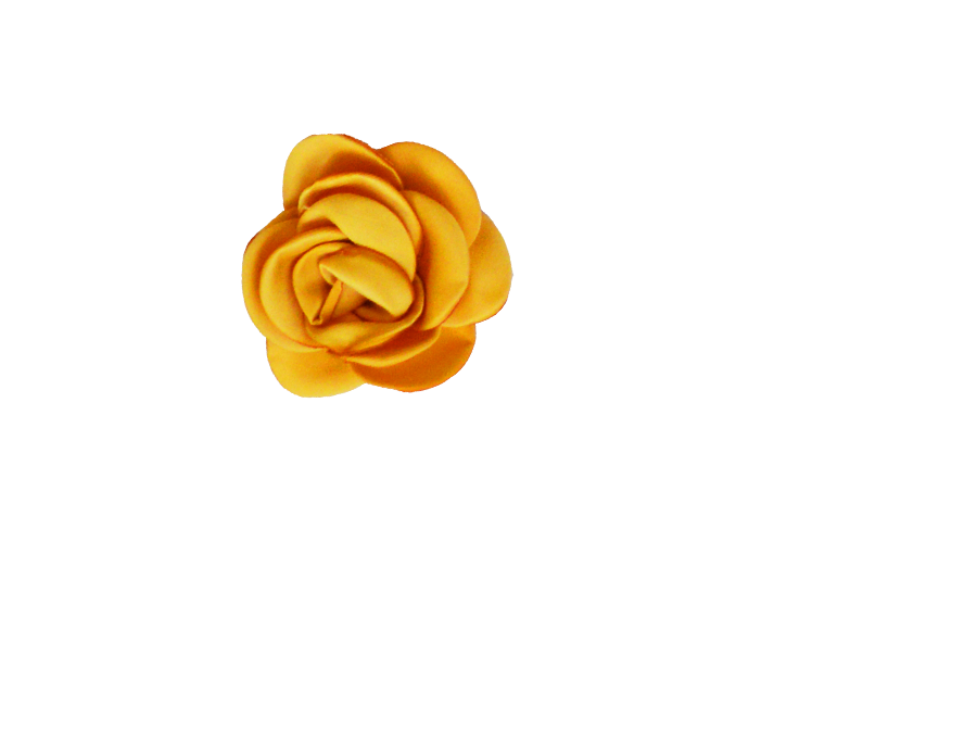 Fleur moutarde