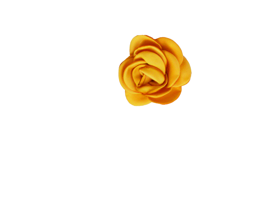Fleur moutarde