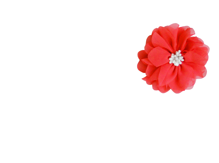 Fleur pistil corail