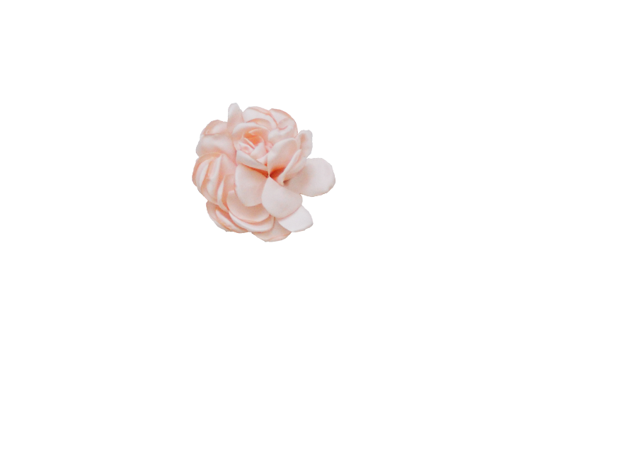 Fleur rose poudrée