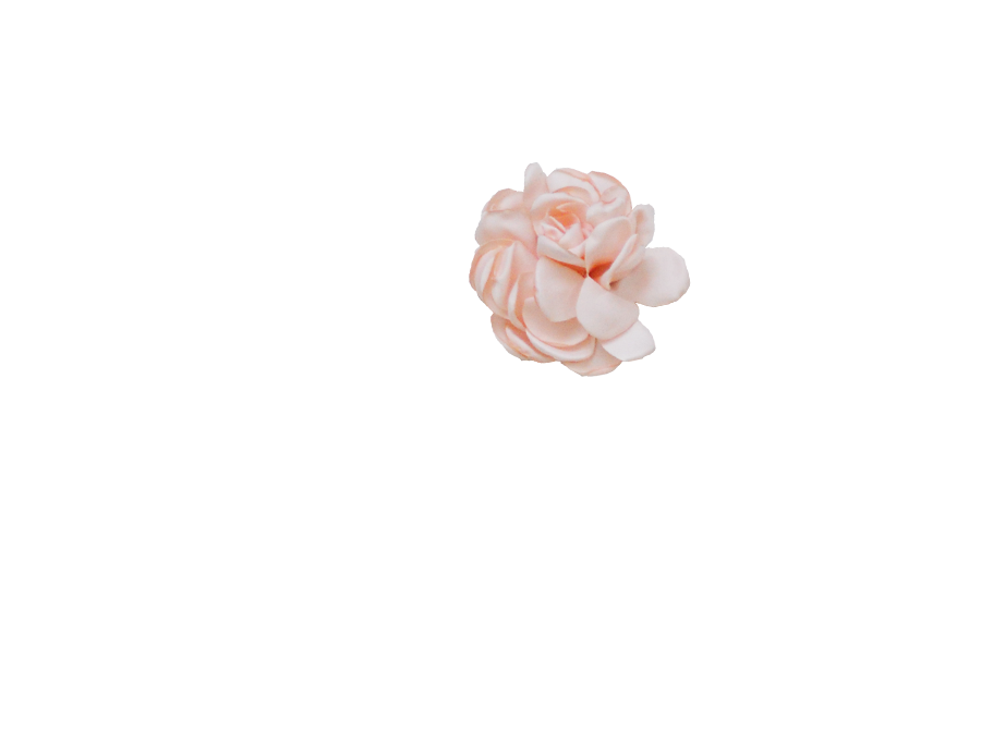 Fleur rose poudrée