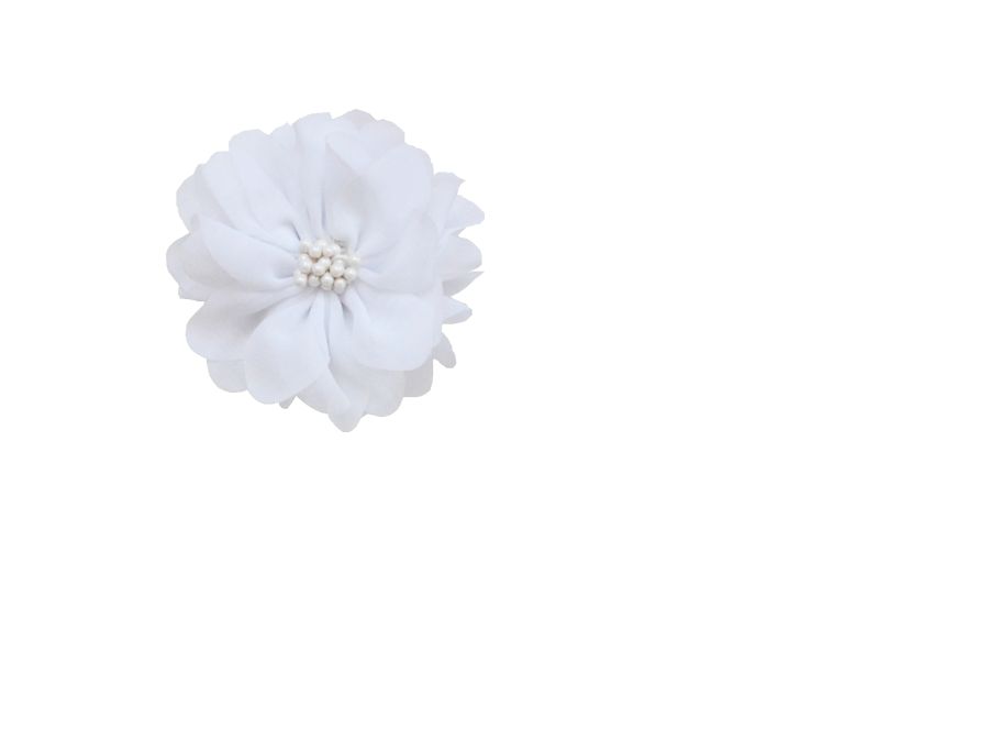 Fleur pistil blanc