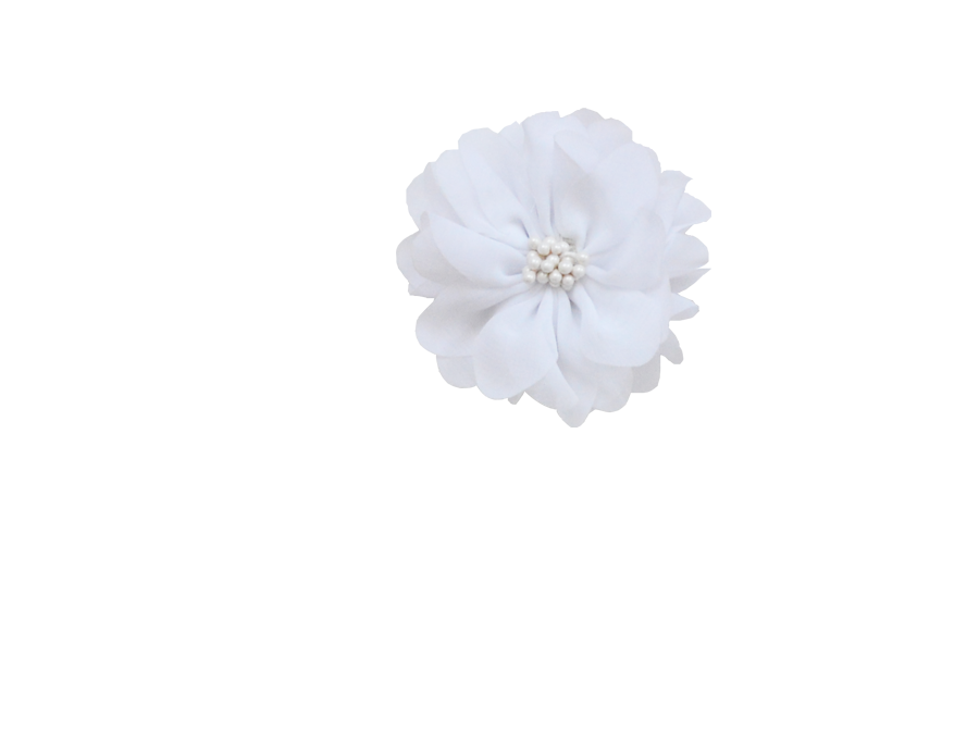 Fleur pistil blanc