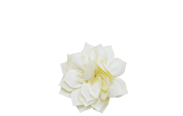 lotus vanille