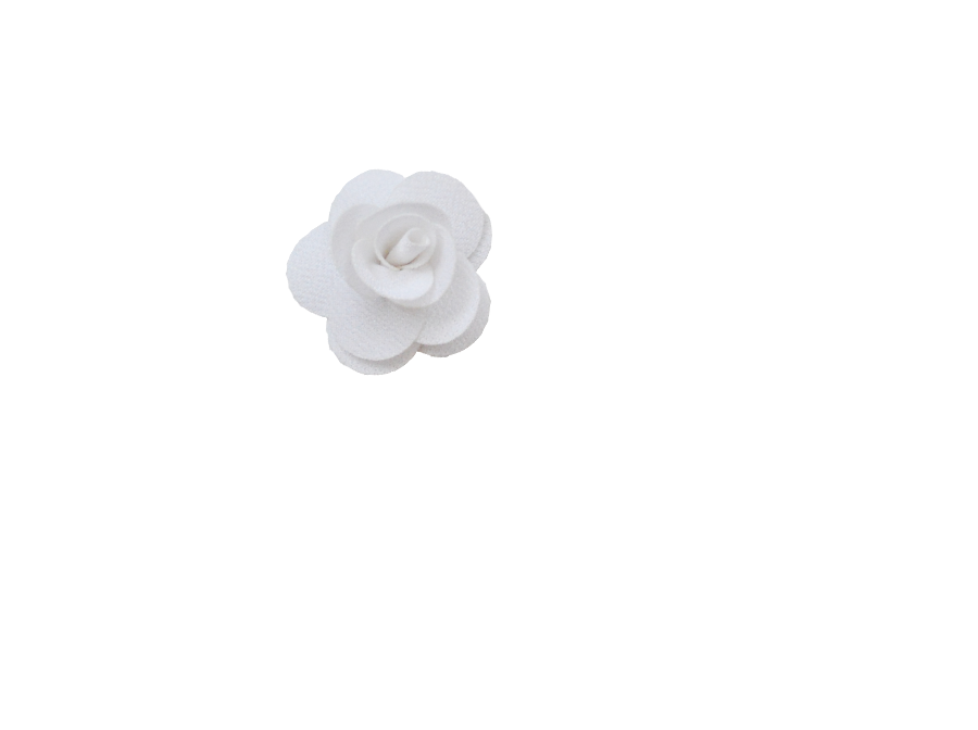 Fleur rose blanche