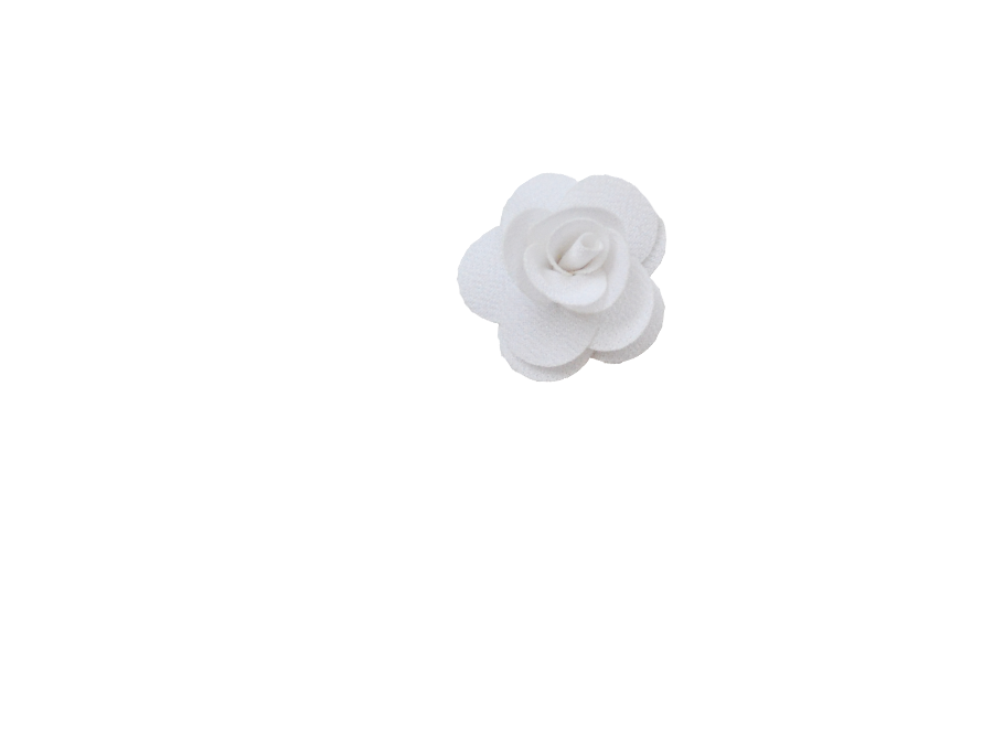 Fleur rose blanche