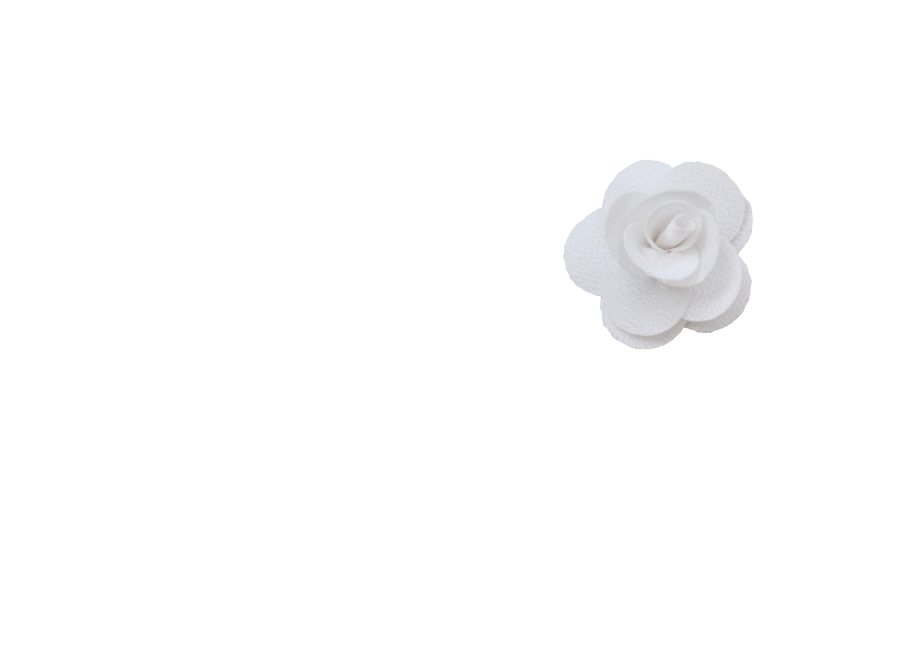 Fleur rose blanche