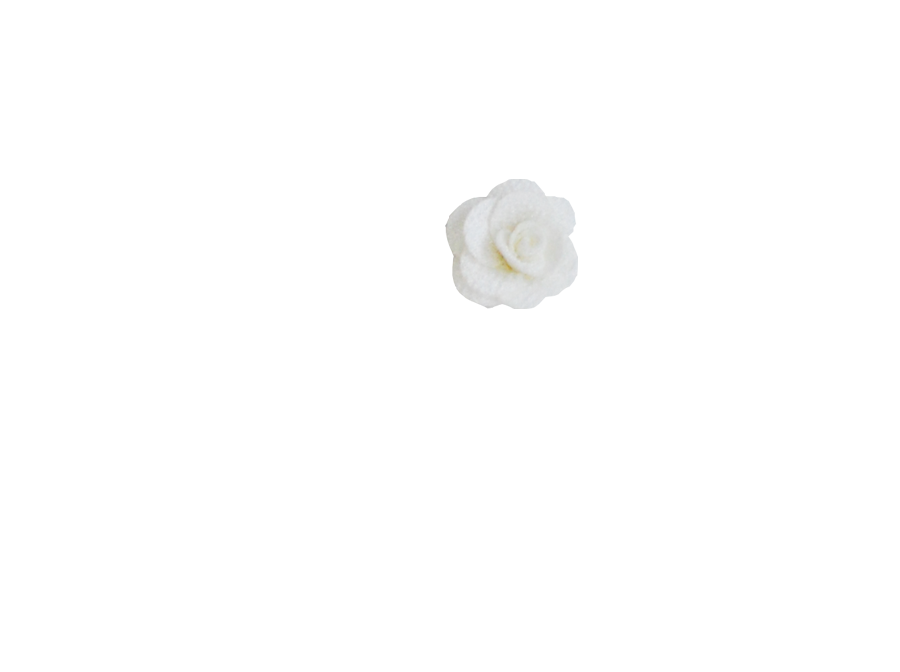Fleur rose ivoire
