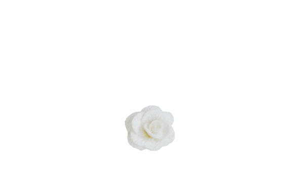 rose ivoire S