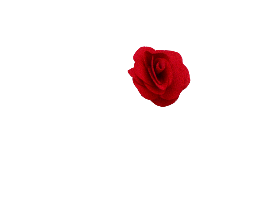 Fleur rose rouge