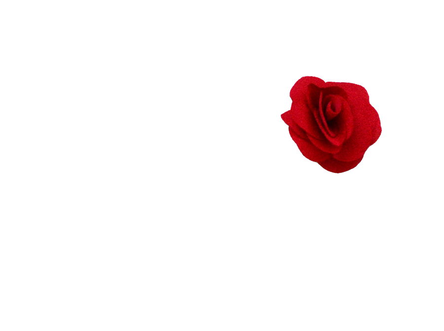 Fleur rose rouge