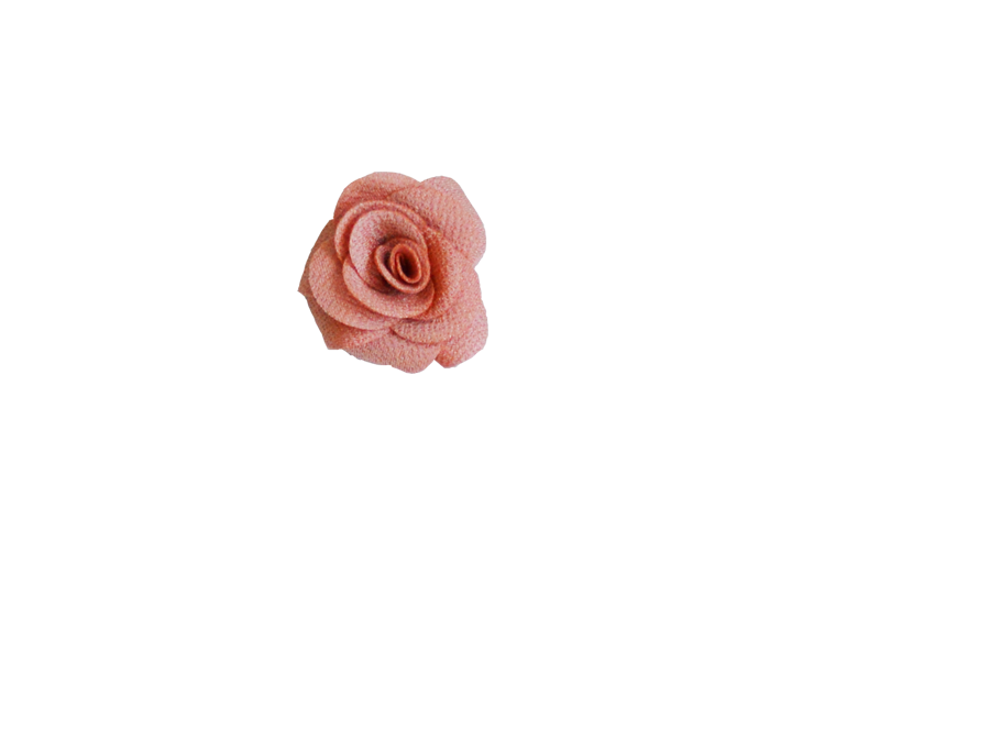 Rose - vieux rose