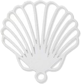 coquillage