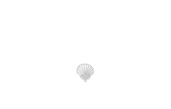 Estampes  mini coquillage