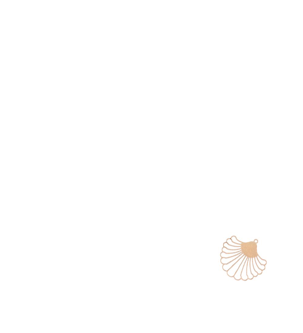 grand coquillage