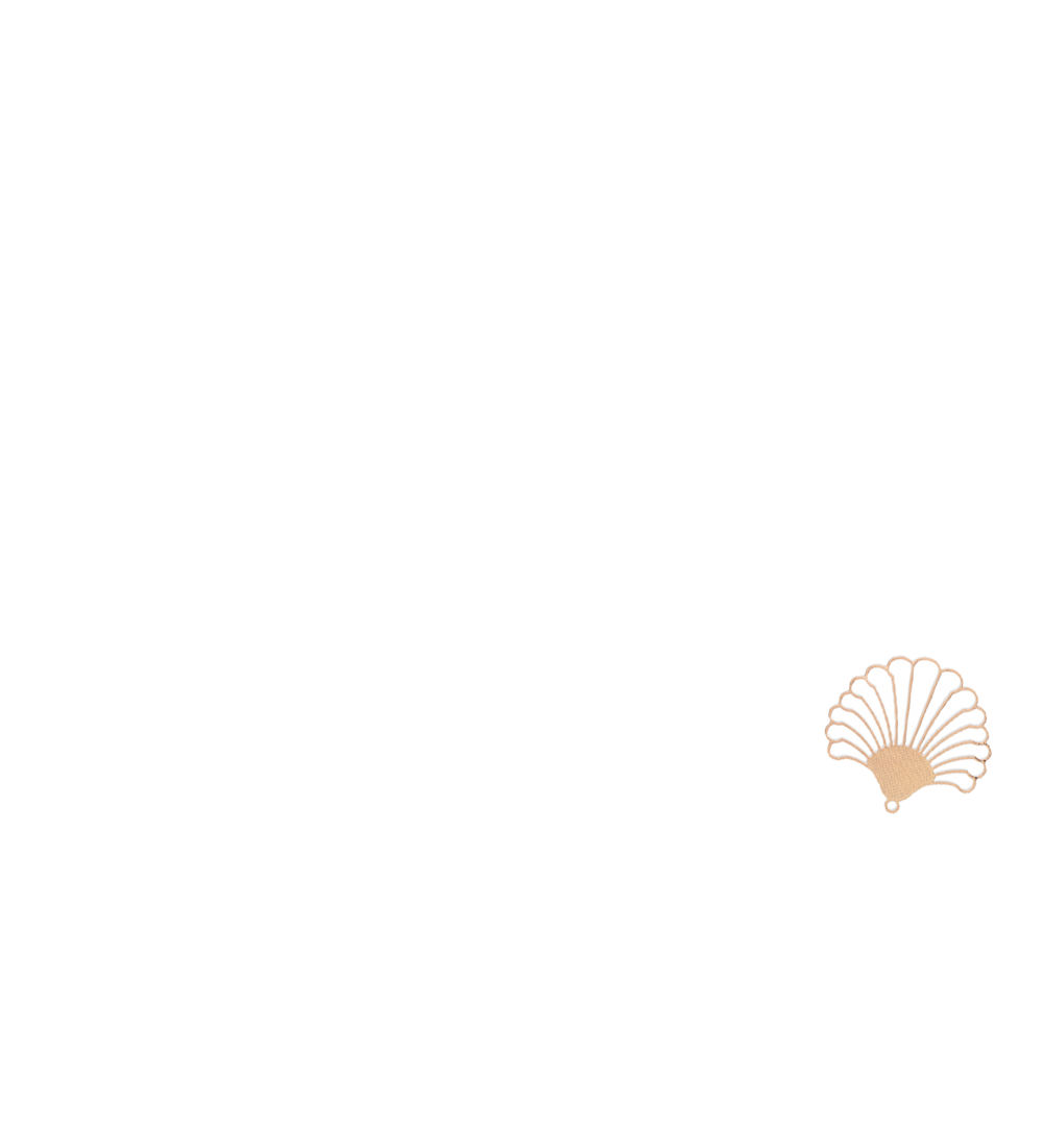 grand coquillage