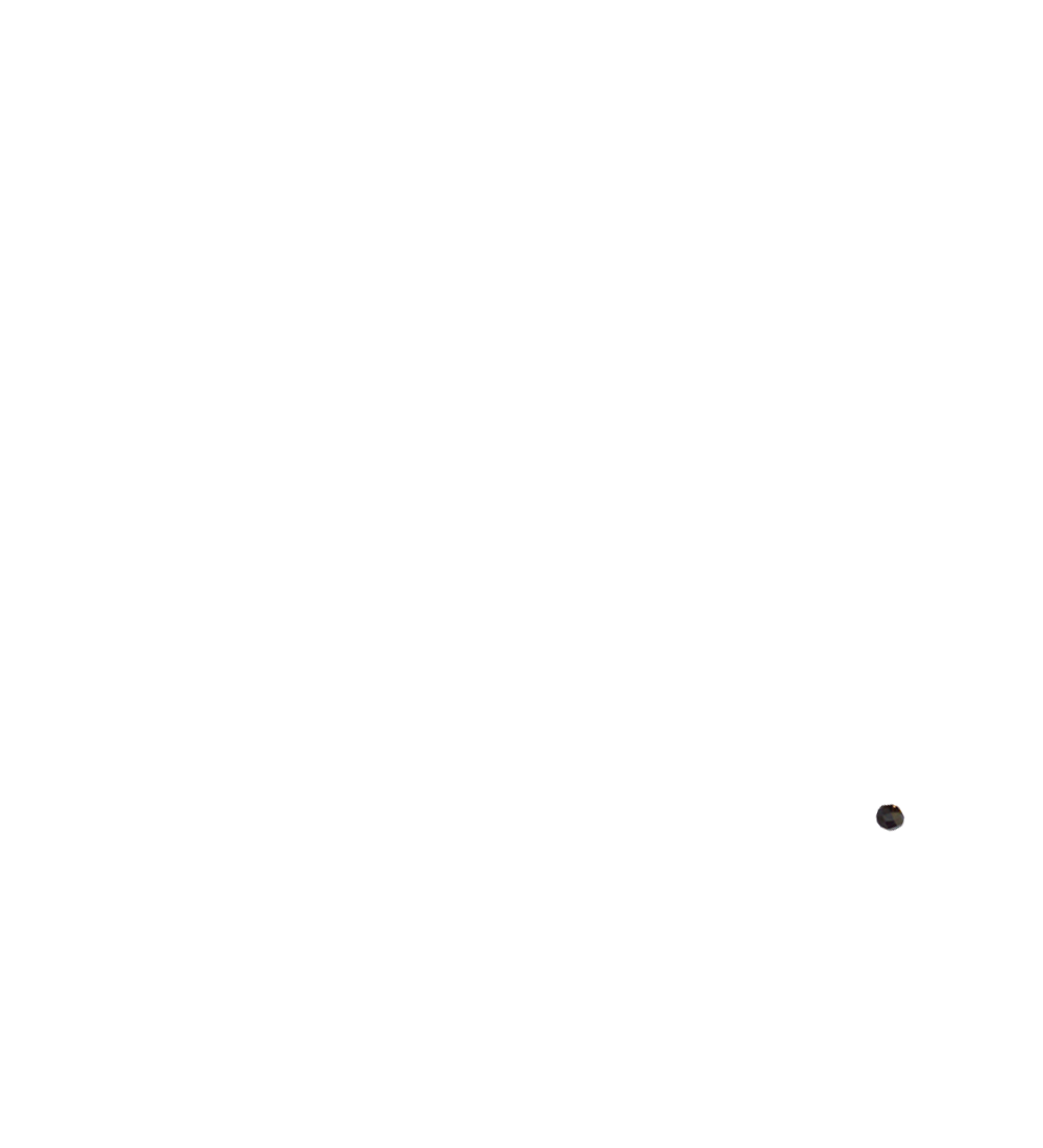 perle noire milieu