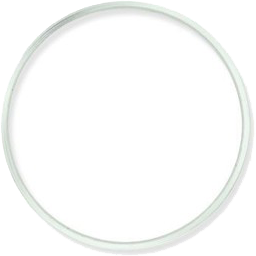 rond doré