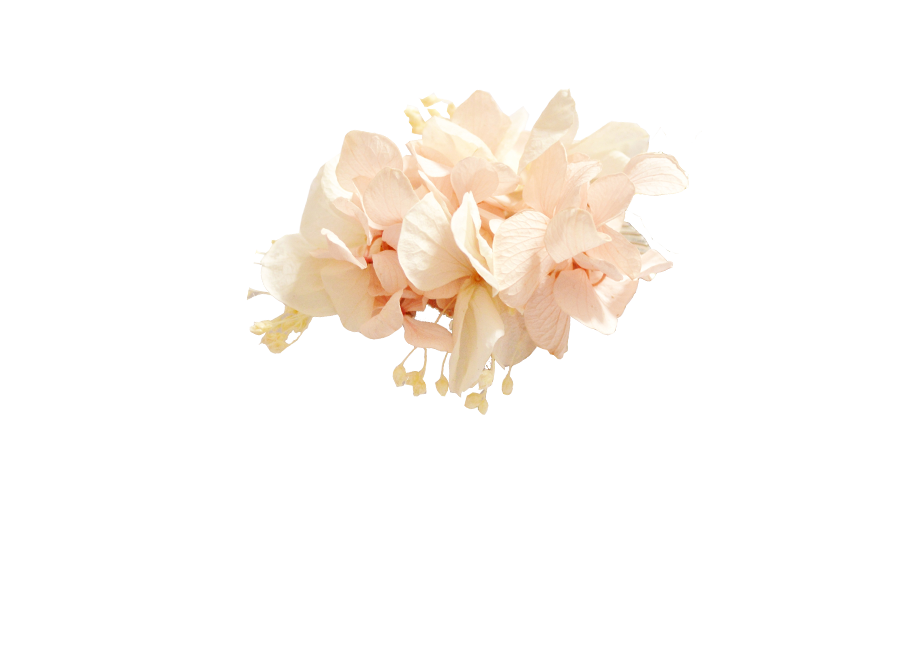 fleurs éternelles rose pâle