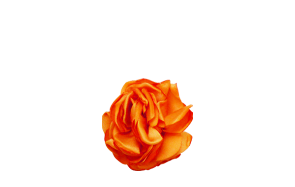 fleur orange