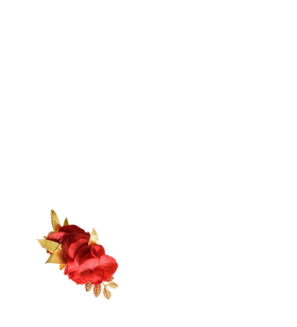 fleurs éternelles rouges