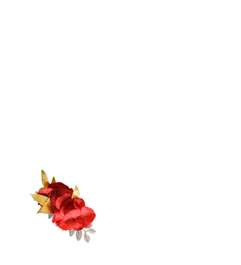 fleurs éternelles rouge