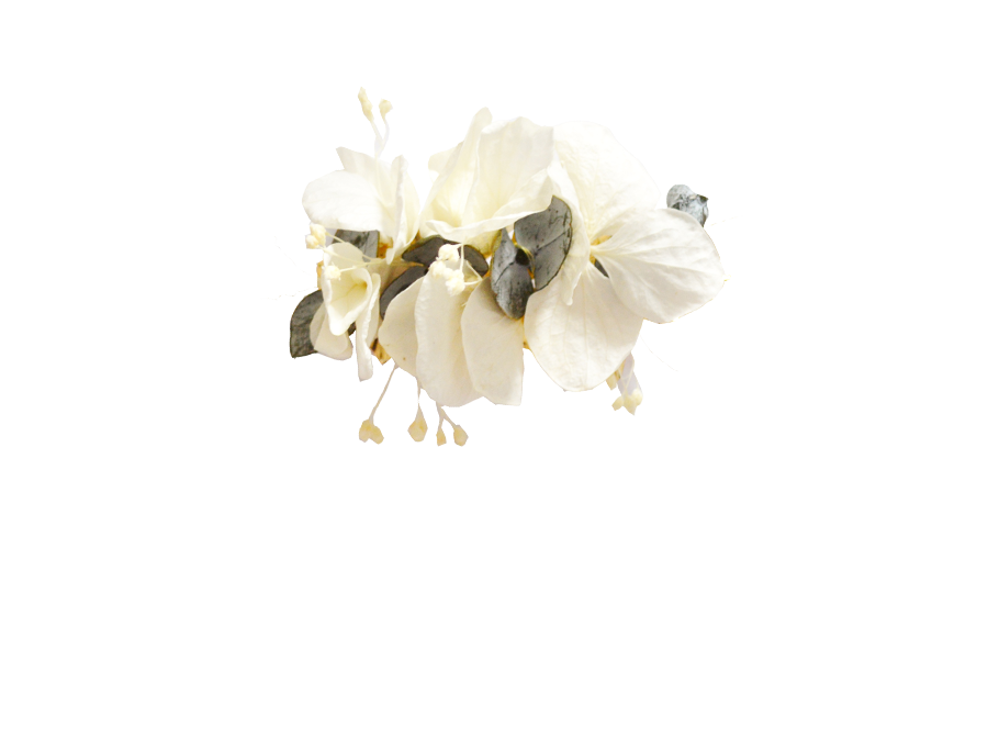 fleurs éternelles et eucalyptus