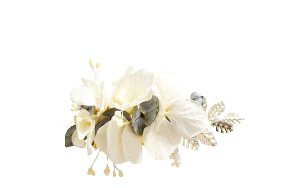 Eucalyptus hortensias ivoire ARGENT