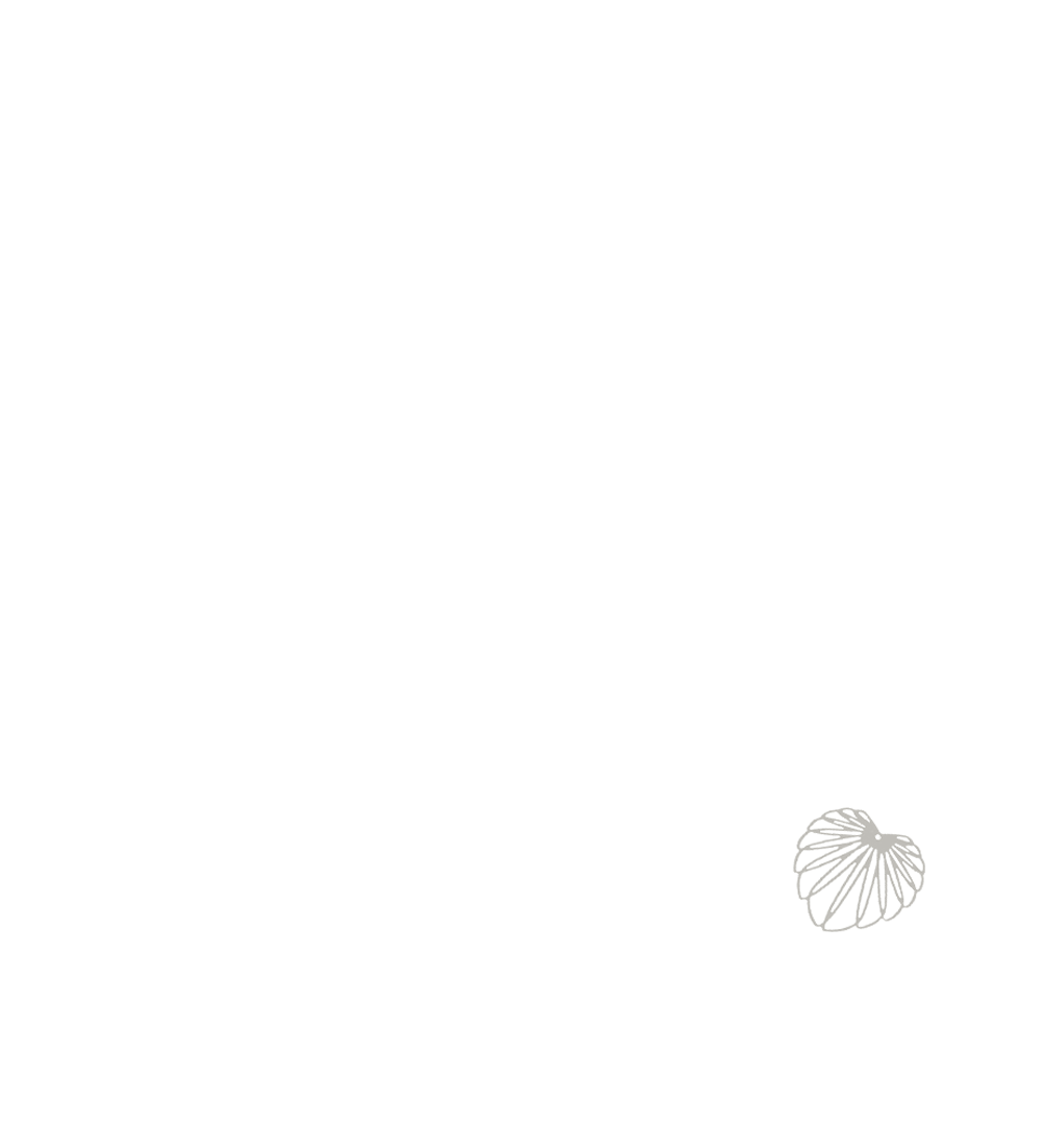 Palmier 