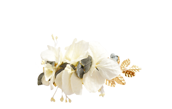 Eucalyptus hortensias ivoire OR