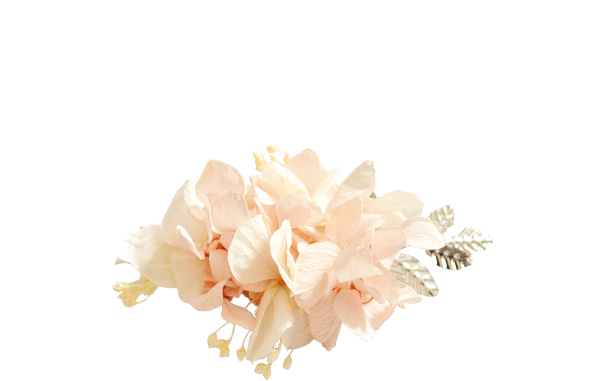 hortensias rose pâle ARGENT