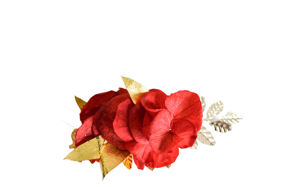 hortensias rouges et or ARGENT